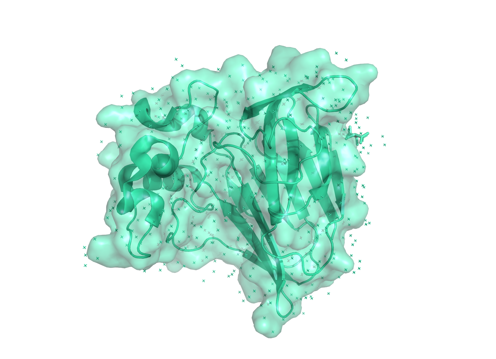 3D molecular structure of a sweet protein